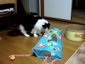 三津五郎