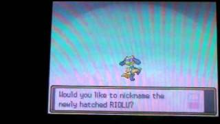 LIVE Shiny Riolu On Heart Gold!!! (Masuda Method) After Only 84 Eggs 