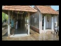 Adiye Enna Ragam Rummy Cover By Sg Shan