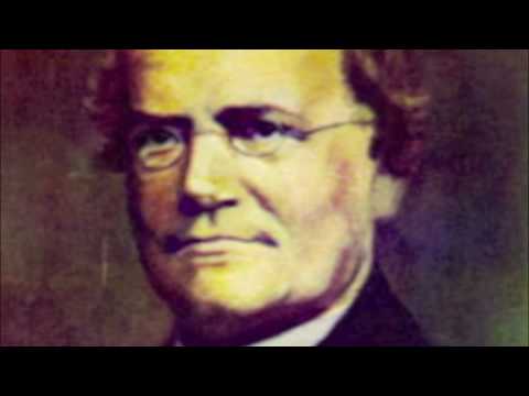 mendel and the deviations essay mendel and the deviations essay