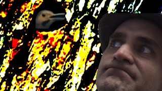 the WOOD PECKER watch