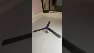 Crazy Ceiling Fan Reviews
