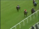 Ranker Video