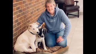 Puppy Training -The Basics Trailer
