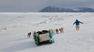 SILA and the Gatekeepers of the Arctic - Trailer