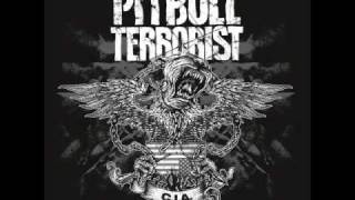 Watch Pitbull Terrorist No Resurrection video