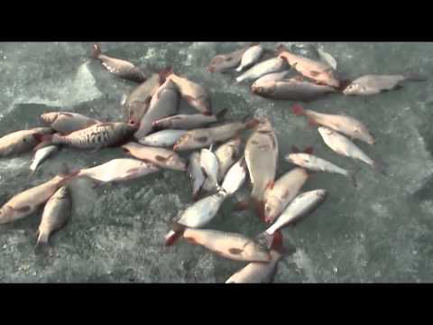 рыбалка в вко видео рыбалка в вко видео