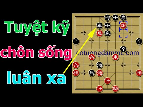 Bái Phục Tuyệt Chiêu Chôn Sống Mãnh Xa Trong Ván Cờ Tướng Cách Đây Gần Nửa Thế Kỷ