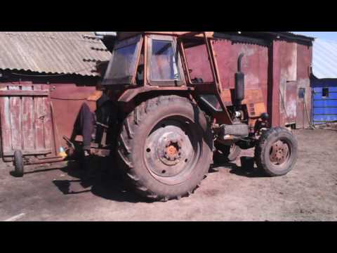 Родословное дерево картинки Родословное дерево картинки