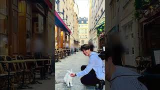 Jimin With Animals