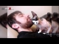 Funny Cats Love Beards Compilation || NEW HD