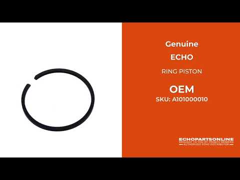 A101000010 A101000010