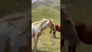 Why You Should Visit Picos De Europa