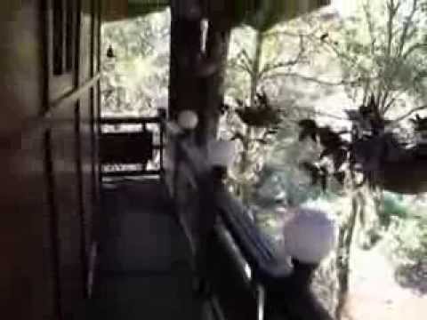 La casa en el arbol en Ela Ecoland Munnar Kerala Sur de la India...