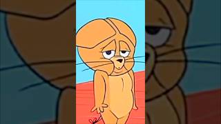 Tom & Jerry Funny Moments