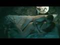 Trailer Fortapasc