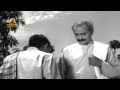 Superstar Krishna S Sakshi Full Movie Vijaya Nirmala Bapu