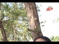 Download Tumi kon bhangoner pathe ele তুমি কোন ভাঙ্গনের পথে এলে MP3 song and Music Video