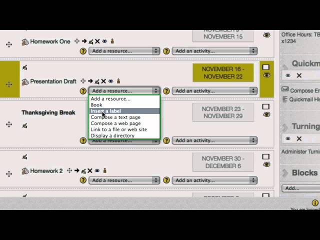 Moodle Label and Instructor Box