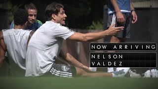 wvIYjuKxNcs Video Image
