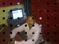 سعيد برنس الصعيد