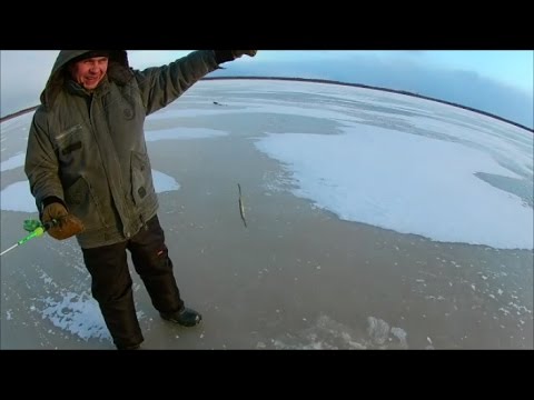 рыбалка с копытовым рыбалка с копытовым