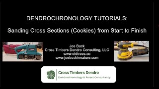 Dendrochronology Sanding Tutorial: Prepping a Tree Cookie Sample from Start to Finish