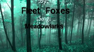 Watch Fleet Foxes Meadowlarks video