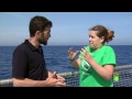 Greenpeace en Ibiza contra las prospecciones petro