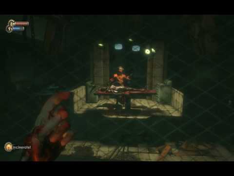 Dr. Steinman Intro
