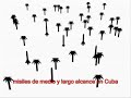 internet