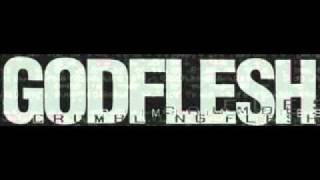 Watch Godflesh Requiem video