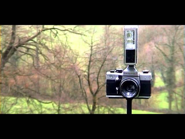 All Videos