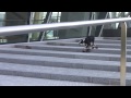 Video Amazing Dogs skateboarding at Stuttgart