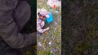 Minkentde Kekliotu . Bölüm 25 Abone Ol Ardı Gəlsin .