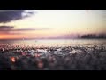 Strife II - Year In The Rain