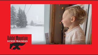 SNOWMAGGEDON 2021