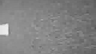 Watch Xiu Xiu I Broke Up video