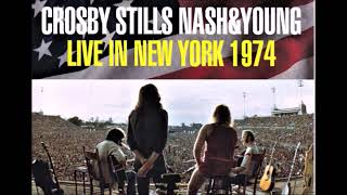 Watch Crosby Stills Nash  Young Live It Up video