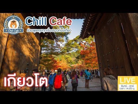 Chill Cafe : 10 ที่เที่ยวต้องไปเช็คอิน เกียวโต