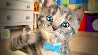 Best Kitten Little Cat Adventure  - Go To School Learning Video For Toddlers