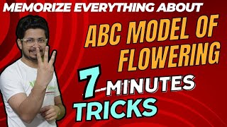 Abc Model Of Flower Development For Csir Net Floral Organ Ideny Genes