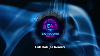 Erik Dalı Ea Remix