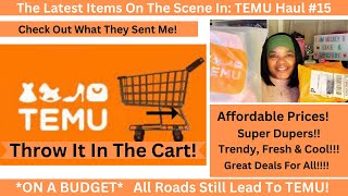 Latest Items On The Scene In Temu Haul See What Temu Sent Me This Time