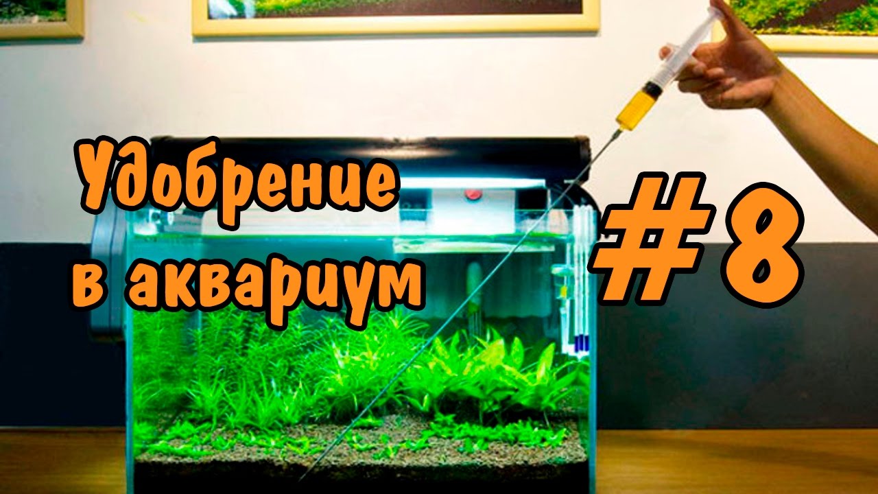 Удо своими руками для аквариума Удо своими руками для аквариума