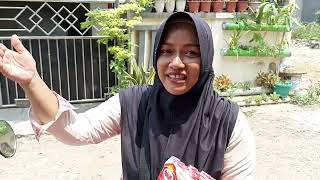 Cerita Pejuang Rupiah Yakult Lady
