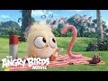 The Angry Birds Movie - See the Brand-New Hatchlings Short In...