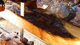 Mango Ağacını Şerit Testere Ile Kesin. Kereste Fabrikası