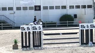 Illy Girl 8Yo Mare Ends 6Th Place In Our First Ever 1.40M Grand Prix