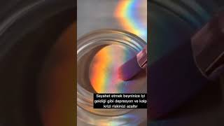 Polojik Gerçekler .Soft Videolar